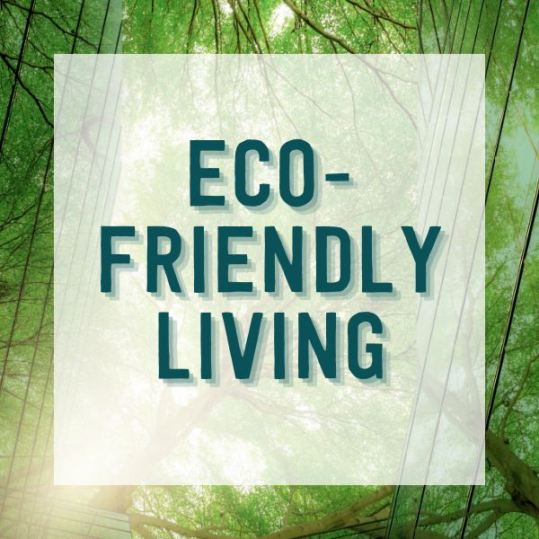 Sustainable Living: How to Make Eco-Friendly Choices